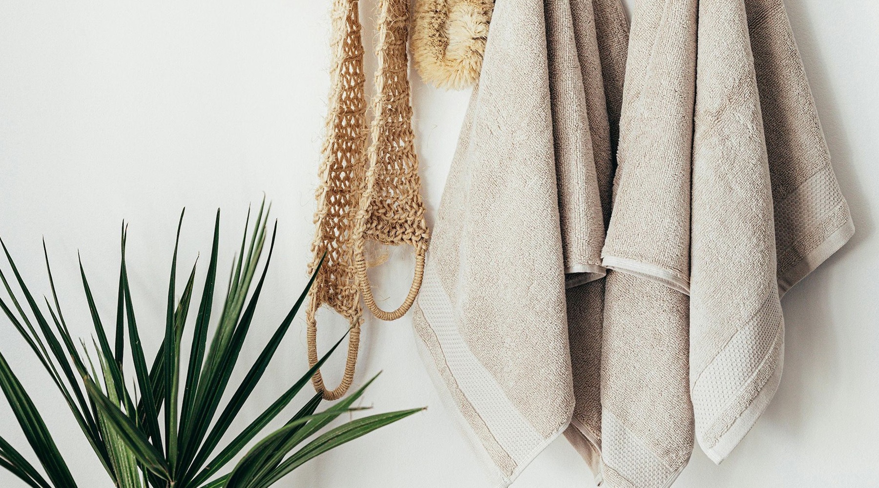 towels hanging on a hook and a plant